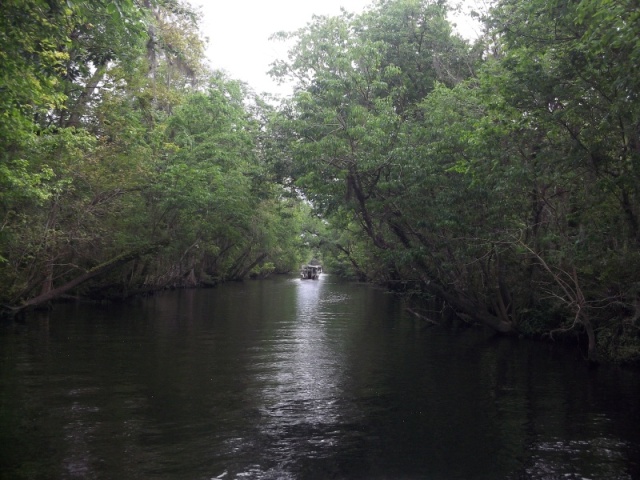 cruising the cut