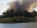 Florida wildfires