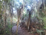 a park in Florida