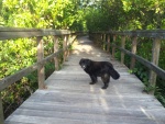 Darius at the park