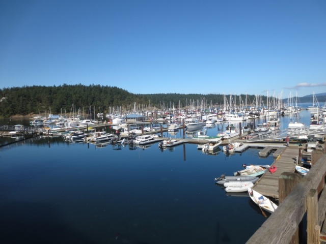 09-28-14 San Juans 15 - Friday Harbor