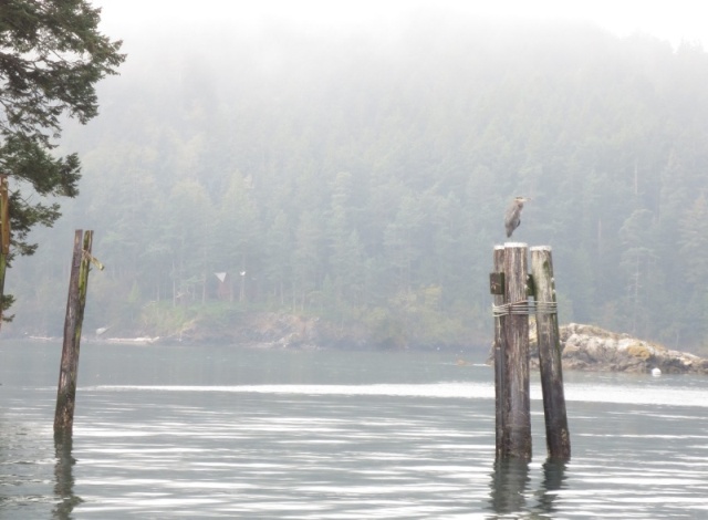 09-28-14 San Juans 7 - Doe Island State Park