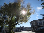 Friday Harbor in fall. 10-5-14