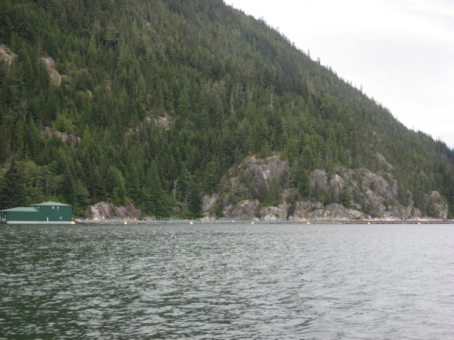 Clio Channel Salmon Farm