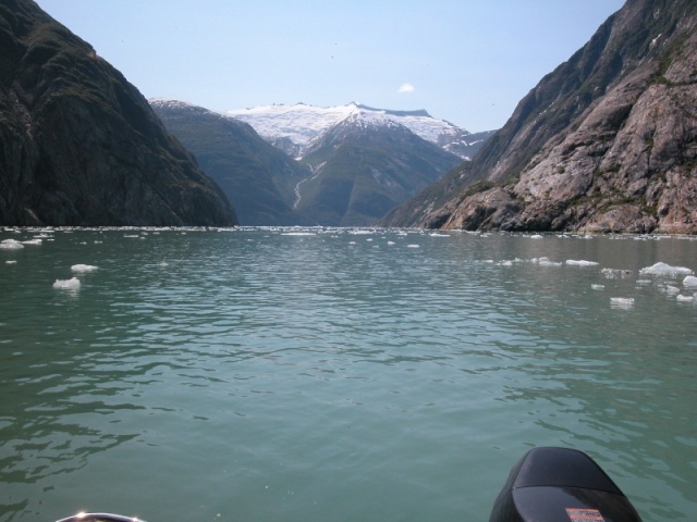 Tracy Arm, Looking back.  08/07/05