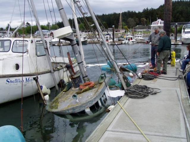 Sunk Sonja, C-Cakes in new mooring