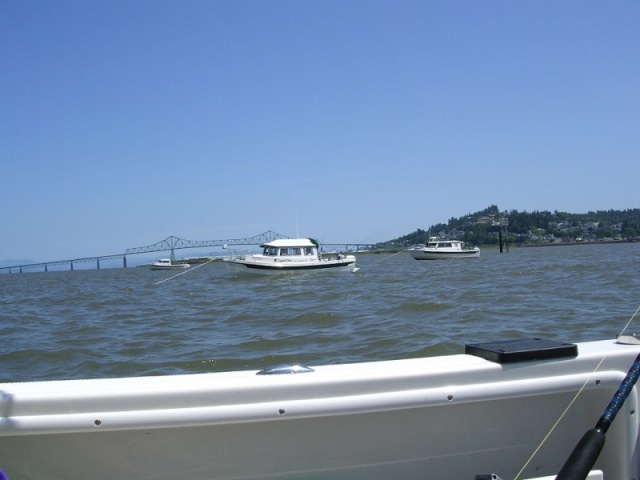 Capital Sea and Tyboo sturgeon fishing on the lower Columbia.