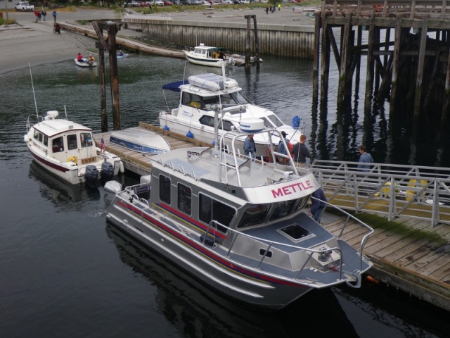 Sharing  space at the Marine Science Center, Port Townsend, with a really nice Armstrong cat with an obvious name are SleepyC and PlanC readying for the PT Rowing Club races.