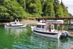 In Bull Harbor, Hope Island, N Vancouver Island, Met Raven and crew (Randy) for a hike to the west side.