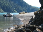 Sawmill Bay, PWS, at low tide