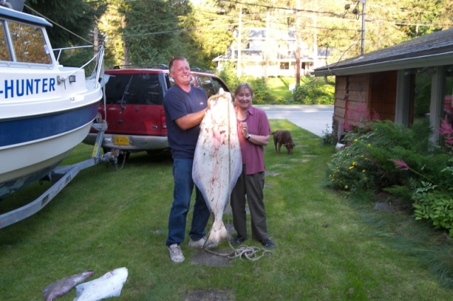 70 pound halibut - August 2007