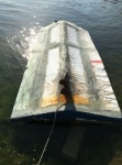 Cuban refugees came over in this overturned homemade: not a C Dory! We found this floating offshore near Plantation Key; 3 bladed prop has 2 blades for smooth ride. 