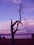 Yellowstone Sunset