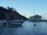 First ocean trip to Catalina; it was awesome!