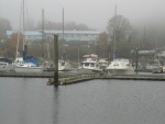 Foggy morning at Saltspring Marina 