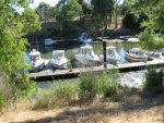 The lone C-Dory in a group of Stripers at the Striper boat get together at Brannan Island State park Calif