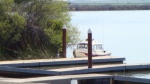 Weekend trip on the Sacramento Delta, this is the new docks at Brannan Island State park