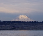 Mt Rainier 