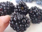huge blackberries