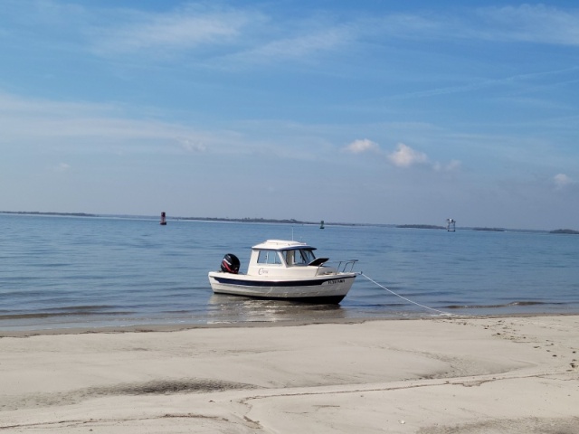 Beached on Cumberland Island