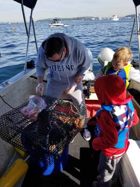 Shrimping 2019 elliot bay 