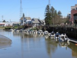 Petaluma Turning Basin - 2015