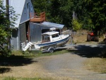 C-esta at home in Port Angeles, Wa.