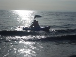 (catdogcat) Surfing 1 Ft waves in Cook Inlet.  The first wave came over the bow when I was getting off the beach.  F*** that water is cold in March!!