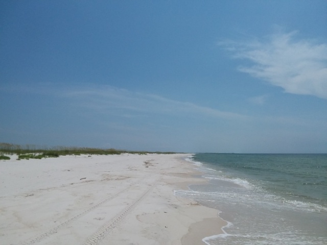 July 4, noon, Gulf Is Natl Seashore, Johnson Beach sector