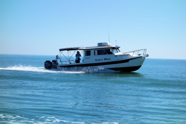 255 on plane in the Gulf, Apalachicola Gathering