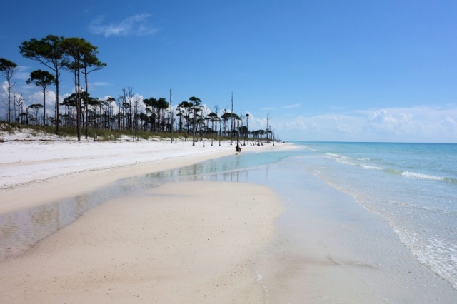 Crooked Island FL in October