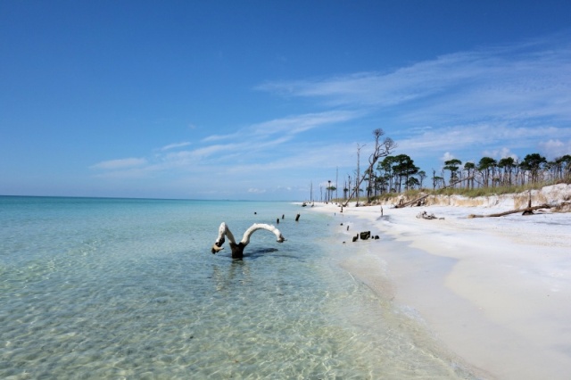 Crooked Island Fl 3