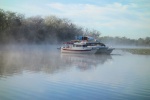 overnight cruise at Butchers Bend on the St John river.  How long does it take two manatees to mate?  Over four hours of thrashing and splashing, and no one sleeps til it's done!