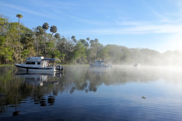 Morning fog on the ST John, Butchers bend anchorage