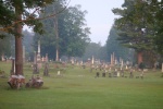 Cemetery by Baldwinsville town wall (Lock E-24 on the Erie canal)