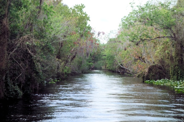 hontoon dead river cutoff