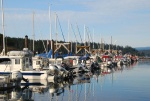 C-Dory Lineup FH CBGT2012. There were around 42 dories there plus a dozen Brats who arrived by other means.