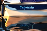 Highlight for Album: Caiprianha