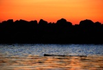 Flotsam-at-sunset-Edmonds-Marina
