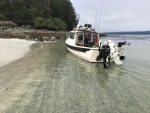 Nootka July 2019