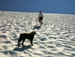 Hiking in the Sound