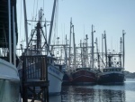The Loster house's Cape May fishing fleet