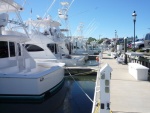 South Jersey Marina sells Cabo, Ocean, and Viking Sports fishing boats. The stern of an 2011 Viking shown