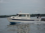 Captain's Cat at Speed in the Potomac