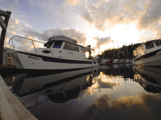 friday harbor may 2014