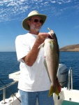 Brent w/Ocean White Fish