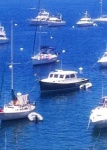 Islander on Mooring Ball