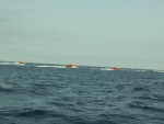 Navy escort away from San Clemente Island