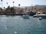 Looking back at Avalon Catalina Island.