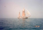 (C-Bill) Time Warp in a Fog Bank - W. from Bodega Bay